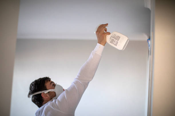 Best Black Mold Remediation in Russells Point, OH